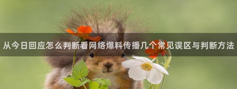 51吃瓜最新入口：从今日回应怎么判断看网络爆料传播几个常见误区与判断方法