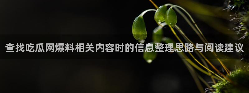 网络吃瓜热点：查找吃瓜网爆料相关内容时的信息整理思路与阅读建议